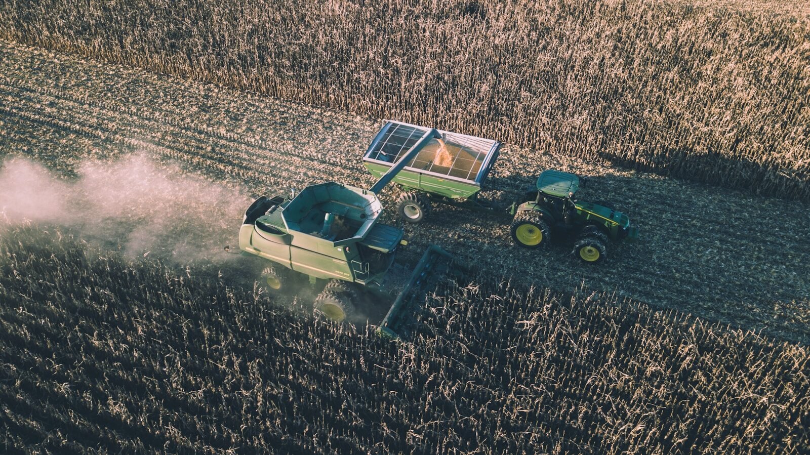 green and black toy car
